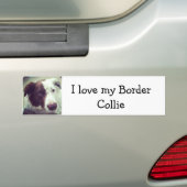 Liebe I mein Grenzcollie Autoaufkleber (Auf Auto)