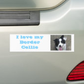Liebe I mein Grenzcollie Bumber Aufkleber Autoaufkleber (Auf Auto)