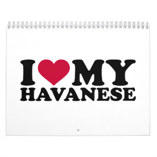 Liebe I mein Havanese Kalender