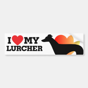 Liebe I mein Lurcher Autoaufkleber