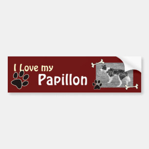 Liebe I mein Papillon Autoaufkleber