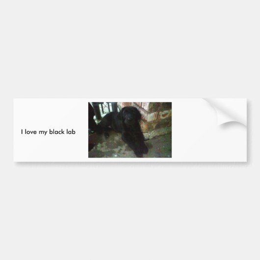 Liebe I mein schwarzer Labrador Autoaufkleber (Vorne)