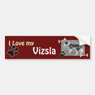 Liebe I mein Vizsla Autoaufkleber