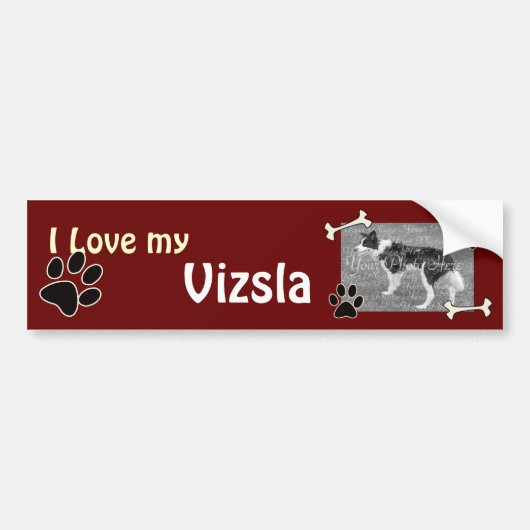 Liebe I mein Vizsla Autoaufkleber (Vorne)