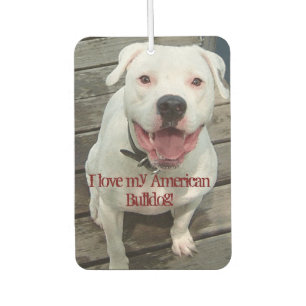 Liebe I meine amerikanische Bulldogge! Autolufterfrischer