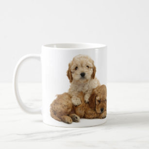 Cockapoo Tassen Zazzle De