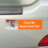 Liebe I meine dumbo ohrige Ratte Autoaufkleber (Auf Auto)