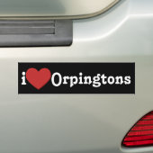 Liebe I Orpingtons Autoaufkleber (Auf Auto)
