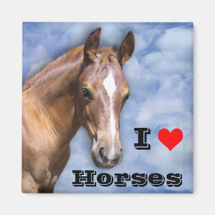 Liebe I Pferde Magnet