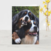 Liebe I Sie Karte (Gelbe Blume)