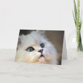 Liebe I Sie - Kätzchen Feiertagskarte (Rückseite)