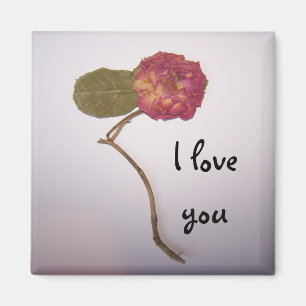 Liebe I Sie Magnet