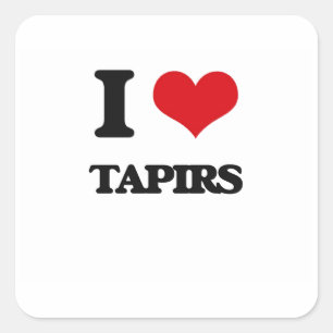 Liebe I Tapirs Quadratischer Aufkleber