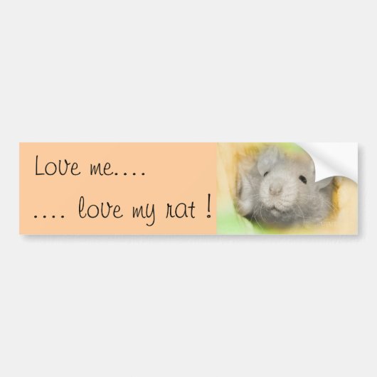Liebe ich. .love meine Ratte Autoaufkleber (Vorne)