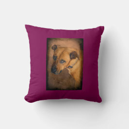 Liebe ich tue ein Kissen