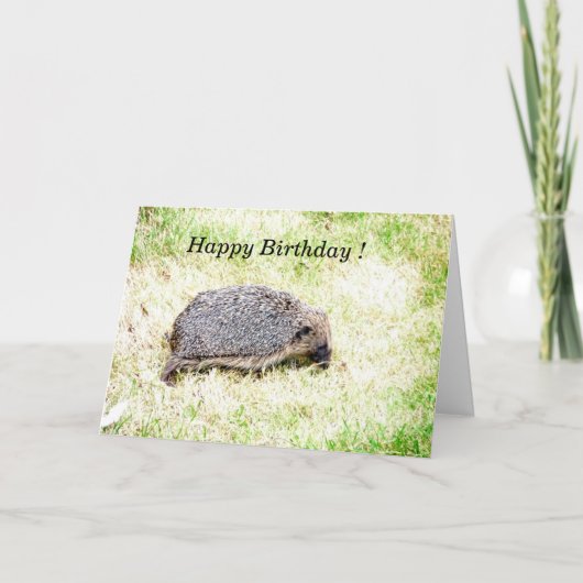 Liebe Igel Karte (Vorderseite)