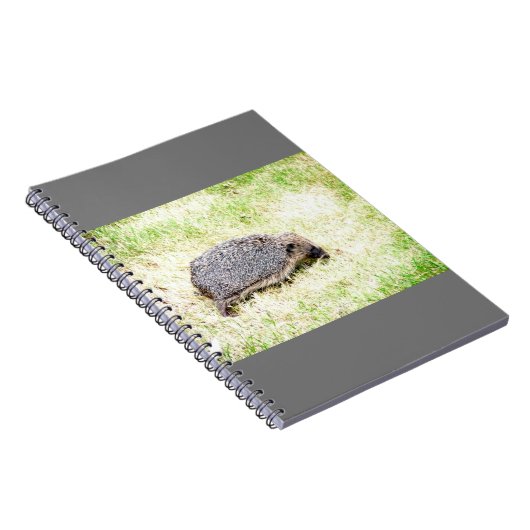 Liebe Igel Notizblock (Rechte Seite)