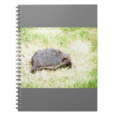 Liebe Igel Notizblock (Vorderseite)