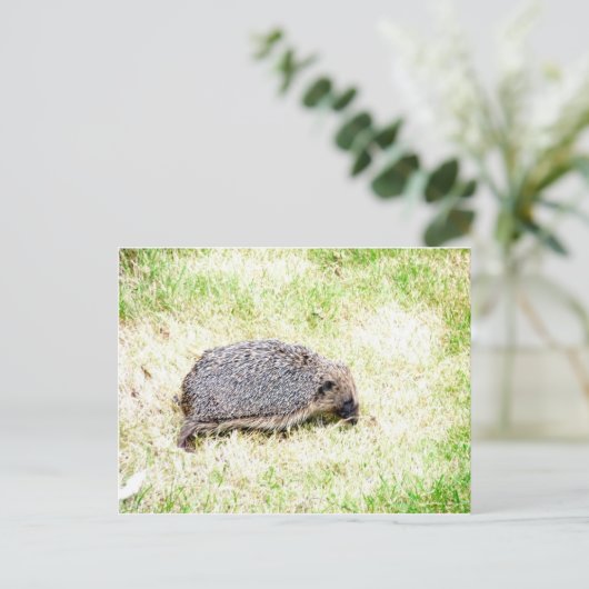 Liebe Igel Postkarte (Stehend Vorderseite)