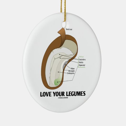 Liebe Ihre Hülsenfrüchte (Bohne Dicotyledon) Keramik Ornament (Rechts)