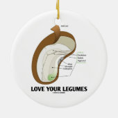 Liebe Ihre Hülsenfrüchte (Bohne Dicotyledon) Keramik Ornament (Hinten)