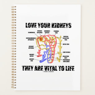 Liebe Ihre Nieren Sie sind lebenswichtig Nephron Planer