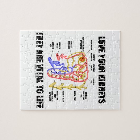 Liebe Ihre Nieren Sie sind lebenswichtig (Nephron) Puzzle (Horizontal)
