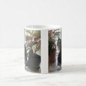 Liebe Ihrer Katze mit ihren Leckereien Kaffeetasse (Mittel)