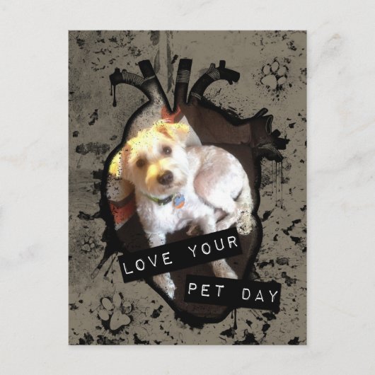Liebe Ihres Haustiertages Postkarte (Vorderseite)