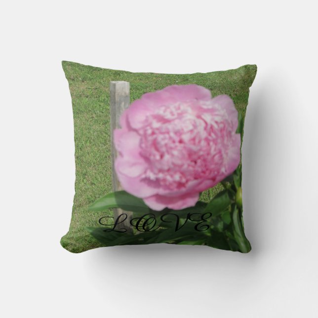 Liebe im Leben Kissen (Vorderseite)