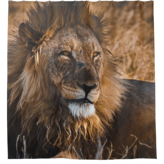 LIEBE IM NATIONALPARK ETOSHA DUSCHVORHANG (Vorderseite)