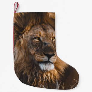LIEBE IM NATIONALPARK ETOSHA KLEINER WEIHNACHTSSTRUMPF