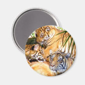 Liebe immer, Tigers_ Magnet (Vorderseite/Rückseite)