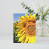 Liebe in den Sonnenblumen Postkarte (Stehend Vorderseite)
