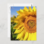 Liebe in den Sonnenblumen Postkarte (Vorne/Hinten)