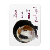 Liebe in einem kleinen Paket Magnet (Vertikal)