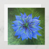 Liebe in Nebel (Vorne/Hinten)