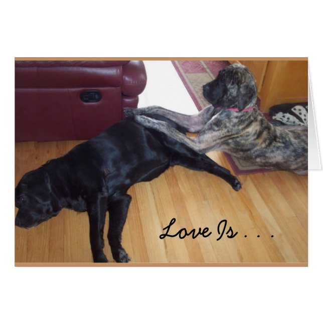 Liebe ist . . . Abbrennen geben eine Massage (Vorderseite (Horizontal))