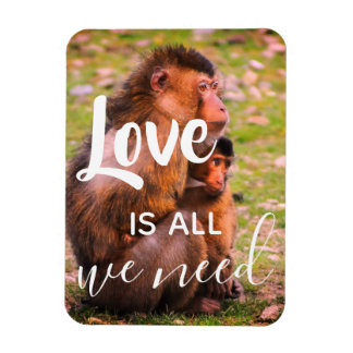 Liebe ist alles, was wir brauchen | Niedlicher Tie Magnet