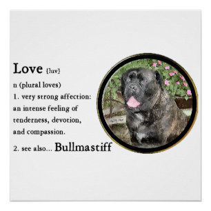 Liebe ist Bullmastiff Poster