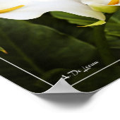 Liebe ist die einzige Blume Poster (Ecke)