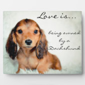 Liebe ist Eigentum einer Dackel-Pixel Fotoplatte (Vorderseite)