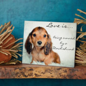 Liebe ist Eigentum einer Dackel-Pixel Fotoplatte (Seite)