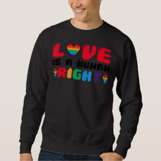 Liebe ist ein auf Menschenrechten basierender Gay- Sweatshirt
