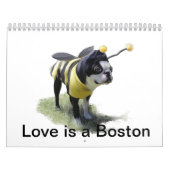 Liebe ist ein Boston Kalender (Titelbild)