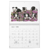 Liebe ist ein Boston Kalender (Mär 2026)