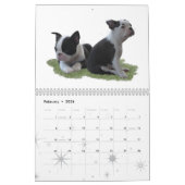 Liebe ist ein Boston Kalender (Feb 2026)