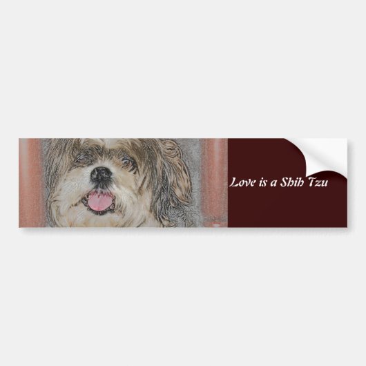 Liebe ist ein Shih TzU Autoaufkleber (Vorne)