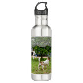 Liebe ist eine Fox Terrier, Edelstahlflasche (Vorderseite)