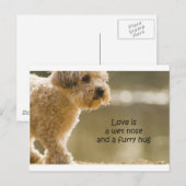 Liebe ist eine Nase der Nase und ein Wutanfall Postkarte (Vorne/Hinten)